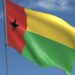 Guinea holds constitutional referendum September 21