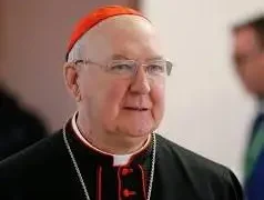 Cardinal Farrell assumes leadership of Catholic Church