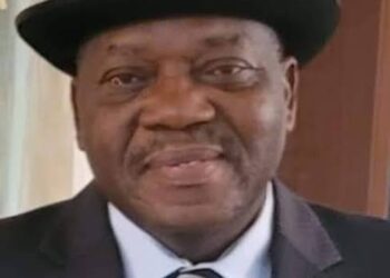 Arms Proliferation: Igali pledges collaboration with ACF, Ohanaeze, others to check community crises 