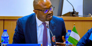 Border Control: Nigeria seeks Sahel, West African countries’ collaboration