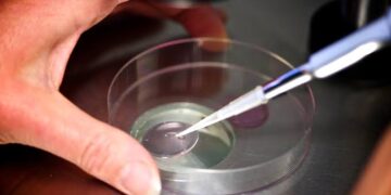 IVF clinic admits embryo mix-up as mother gives birth to another patient’s baby