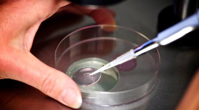 IVF clinic admits embryo mix-up as mother gives birth to another patient’s baby