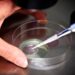 IVF clinic admits embryo mix-up as mother gives birth to another patient’s baby