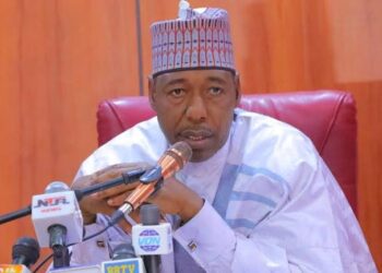 Gov. Zulum appoints new accountant general