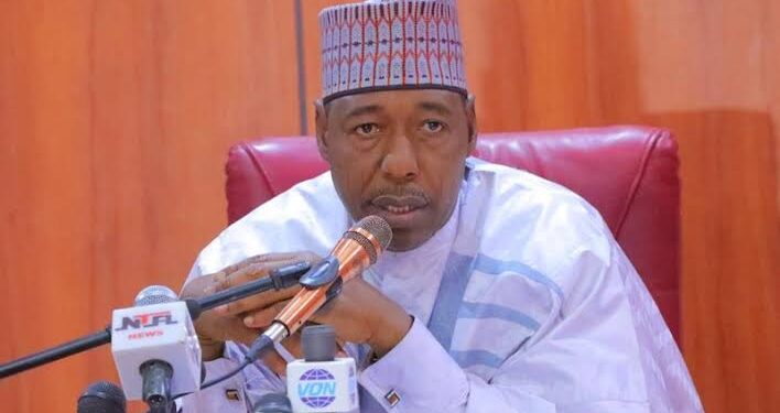 Gov. Zulum appoints new accountant general