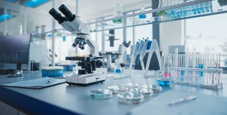 New study announces immunotherapy breakthrough for cancer treatment