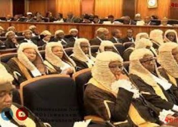 Reconstitute census committee, exclusion of South-East, South-South region will undermine outcome, credibility of the exercise, Igbo lawyers tells Tinubu