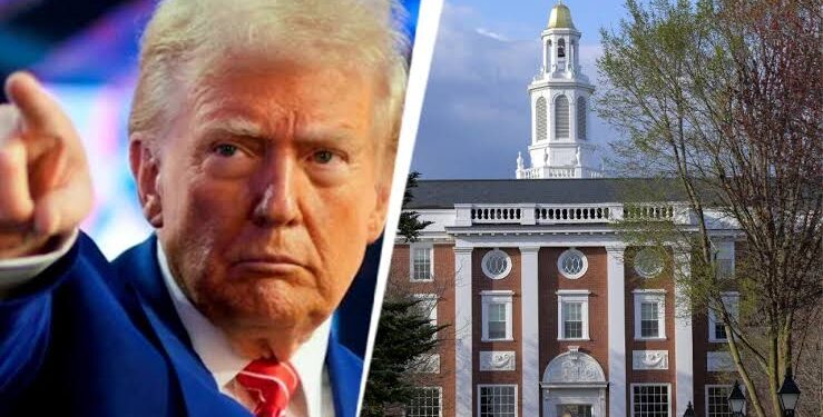 Harvard will no longer admit international students-Trump administration