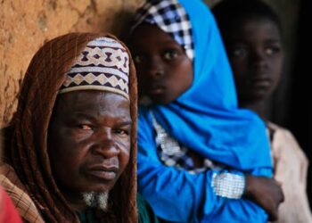 FG launches national livestock programme in Plateau