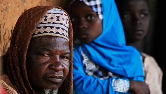 FG launches national livestock programme in Plateau