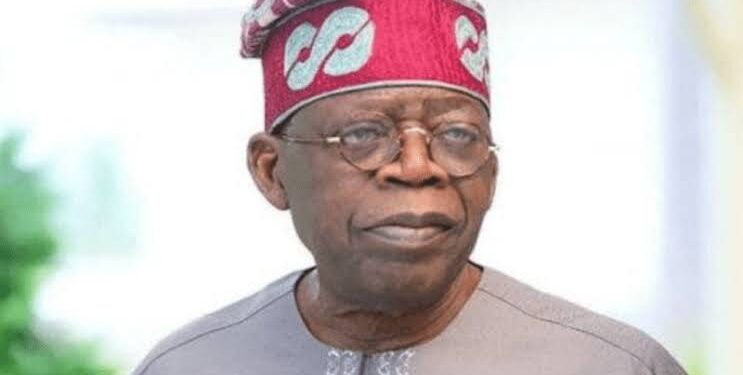 SEE FULL LIST: Tinubu appoints new board members for ATBU, 35 others
