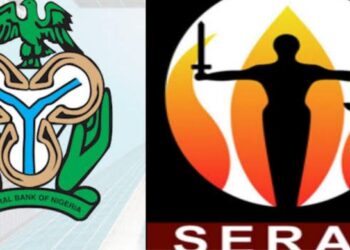 SERAP sues CBN for non-disclosure of payments to local govts