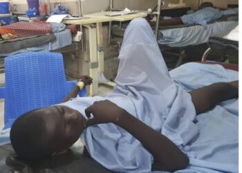 Female suicide bomber kills 24, injure  scores in Borno community