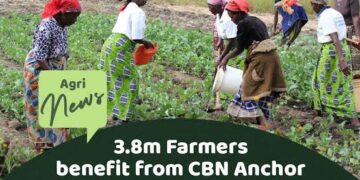 House of Reps probes alleged diversion of N1.12trillion anchor borrowers fund