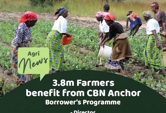 House of Reps probes alleged diversion of N1.12trillion anchor borrowers fund