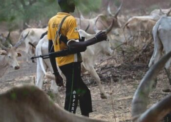 Tinubu govt assures farmers of security support against bandits, killer herdsmen