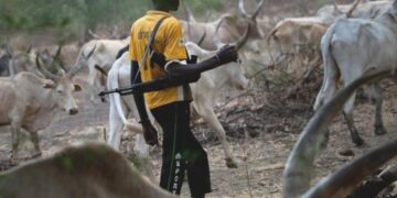 Tinubu govt assures farmers of security support against bandits, killer herdsmen