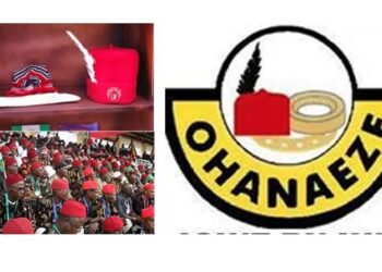 Igbos won’t participate in planned June 12 protests- Ohanaeze