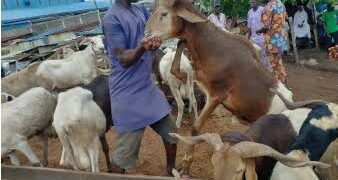 Muslims in Abia, Imo blame low-key Sallah celebration on poor economy