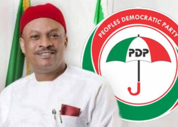 NEC reinstates Anyanwu as PDP national secretary