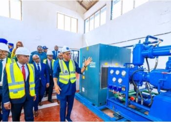 Enugu govt  revamps 35-year moribund Nigergas Plant