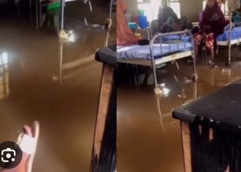 Kebbi gov suspends commissioner for health after social media viral video