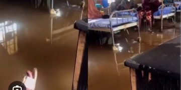 Kebbi gov suspends commissioner for health after social media viral video