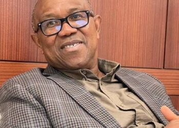Why I’m suspending political engagements-Peter Obi