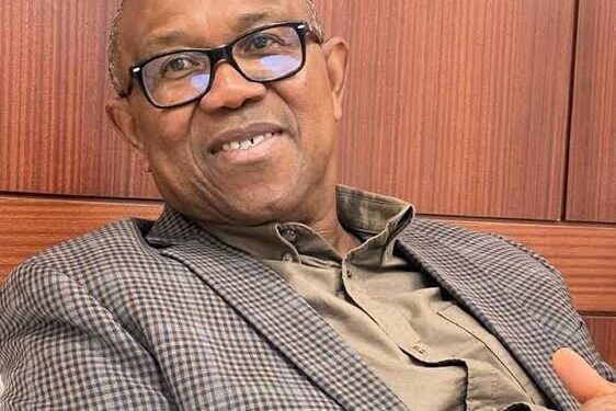 Why I’m suspending political engagements-Peter Obi