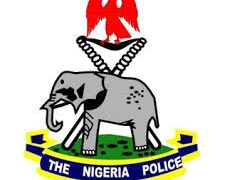 Yobe crime rate down by 70%-Police
