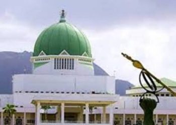 2025 Budget: NASS seeks withdrawal of contracts, extension of implementation