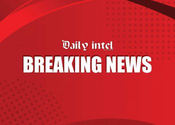 BREAKING: Innovation minister Nnaji resigns amid academic record crisis