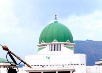 Constitution Review: NASS joint committee approves additional state for South-east