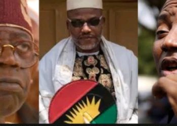 The illegality within the legality of stopping a peaceful protest: Nigeria’s dilemma under Tinubu | By Daniel Okonkwo