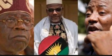 The illegality within the legality of stopping a peaceful protest: Nigeria’s dilemma under Tinubu | By Daniel Okonkwo