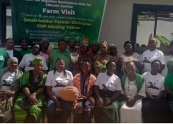 Rural women farmers in Kaduna decry exclusion from COP30 talks