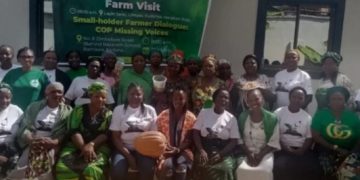 Rural women farmers in Kaduna decry exclusion from COP30 talks