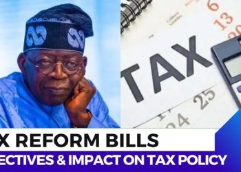 What Nigeria has is an unreconciled bill not a tax law | Audu Liberty Oseni