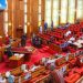 Senate screens three ambassadorial nominees