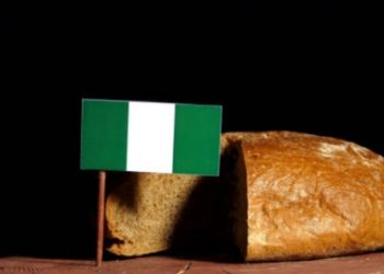 Blood, tears, and sweat of Nigerians mixed with economic desperation. Which way to go, Mr President? | By Daniel Nduka Okonkwo