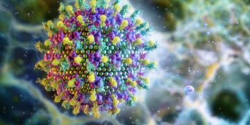 Nipah virus threat: Why Nigeria must act early to prevent another public health crisis | By Daniel Nduka Okonkwo