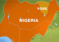 Yobe electoral commission fixe date for LG poll
