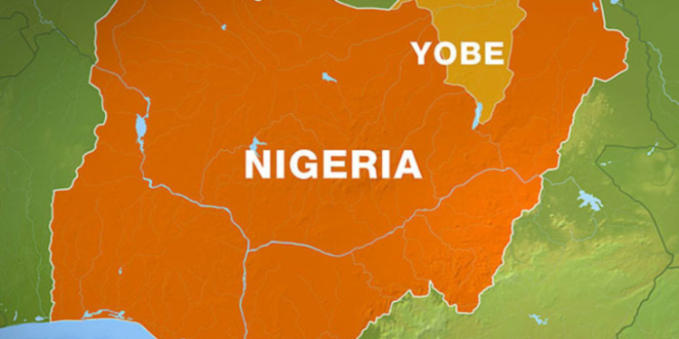 Yobe electoral commission fixe date for LG poll