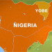 Yobe electoral commission fixe date for LG poll