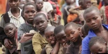 Aid cut pushes 1.2 million people in North-East deeper into hunger-WFP