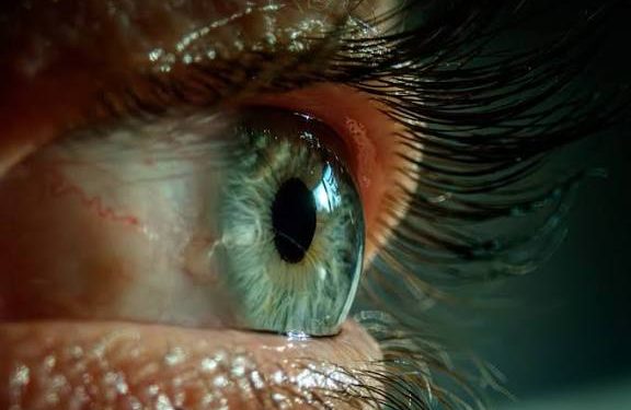 Mangal Foundation offers free surgeries to 18,000 eye patients