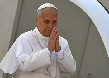 Pope Leo to visit four African countries