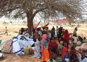 Violence, famine, disease fuelling rising death toll among children in Sudan-UN