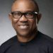 The Obedient Question: Can Nigerians choose Peter Obi as their next President? The political prodigal son’s bid for power | By Daniel Nduka Okonkwo