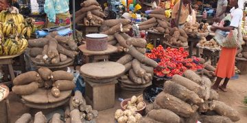 Food prices highest in Bayelsa, Ebonyi, Edo as Nigeria’s inflation rate eases to 15.06%